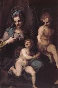 Virgin Mary and Jeusu and John Andrea del Sarto